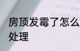房顶发霉了怎么洗掉 房顶发霉了如何处理