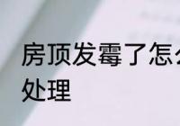 房顶发霉了怎么洗掉 房顶发霉了如何处理