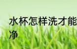 水杯怎样洗才能干净 水杯如何洗更干净