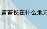 青苔长在什么地方 青苔长在哪些地方
