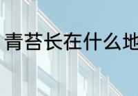 青苔长在什么地方 青苔长在哪些地方
