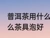 普洱茶用什么壶泡最好喝 普洱茶用什么茶具泡好