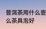 普洱茶用什么壶泡最好喝 普洱茶用什么茶具泡好