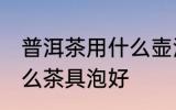 普洱茶用什么壶泡最好喝 普洱茶用什么茶具泡好