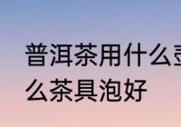 普洱茶用什么壶泡最好喝 普洱茶用什么茶具泡好