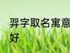 羿字取名寓意好吗 羿字取名寓意好不好
