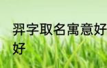 羿字取名寓意好吗 羿字取名寓意好不好