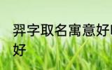 羿字取名寓意好吗 羿字取名寓意好不好