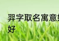 羿字取名寓意好吗 羿字取名寓意好不好