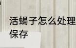 活蝎子怎么处理保存 活蝎子如何处理保存