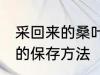 采回来的桑叶怎么保存 采回来的桑叶的保存方法