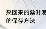 采回来的桑叶怎么保存 采回来的桑叶的保存方法