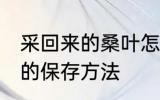 采回来的桑叶怎么保存 采回来的桑叶的保存方法