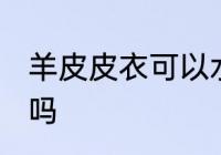 羊皮皮衣可以水洗吗 羊皮皮衣能水洗吗