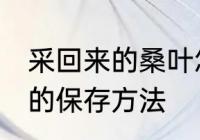 采回来的桑叶怎么保存 采回来的桑叶的保存方法