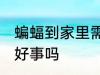 蝙蝠到家里需要赶走吗 蝙蝠到家里是好事吗