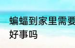 蝙蝠到家里需要赶走吗 蝙蝠到家里是好事吗
