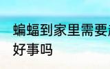 蝙蝠到家里需要赶走吗 蝙蝠到家里是好事吗