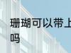 珊瑚可以带上飞机吗 珊瑚能带上飞机吗