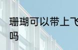 珊瑚可以带上飞机吗 珊瑚能带上飞机吗