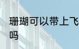 珊瑚可以带上飞机吗 珊瑚能带上飞机吗