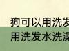 狗可以用洗发水洗澡吗 狗可以能不能用洗发水洗澡