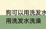 狗可以用洗发水洗澡吗 狗可以能不能用洗发水洗澡