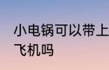 小电锅可以带上飞机吗 小电锅能带上飞机吗