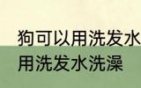 狗可以用洗发水洗澡吗 狗可以能不能用洗发水洗澡