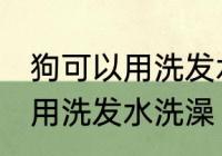 狗可以用洗发水洗澡吗 狗可以能不能用洗发水洗澡