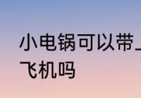 小电锅可以带上飞机吗 小电锅能带上飞机吗