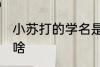 小苏打的学名是什么 小苏打的学名是啥
