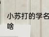 小苏打的学名是什么 小苏打的学名是啥