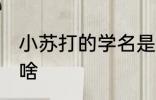小苏打的学名是什么 小苏打的学名是啥