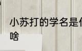 小苏打的学名是什么 小苏打的学名是啥