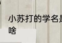 小苏打的学名是什么 小苏打的学名是啥