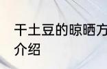 干土豆的晾晒方法 干土豆的晾晒方法介绍
