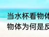 当水杯看物体为什么是反的 当水杯看物体为何是反的
