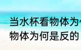 当水杯看物体为什么是反的 当水杯看物体为何是反的