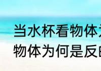 当水杯看物体为什么是反的 当水杯看物体为何是反的