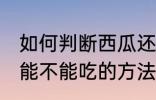 如何判断西瓜还能不能吃 判断西瓜还能不能吃的方法