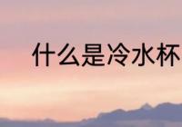 什么是冷水杯 冷水玻璃杯是什么