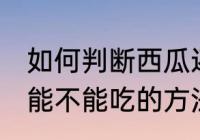 如何判断西瓜还能不能吃 判断西瓜还能不能吃的方法
