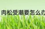 肉松受潮要怎么办 肉松受潮如何处理