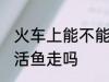 火车上能不能带活鱼走 火车上可以带活鱼走吗