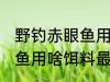 野钓赤眼鱼用什么饵料最好 野钓赤眼鱼用啥饵料最好