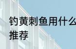 钓黄刺鱼用什么饵最好 钓黄刺鱼饵料推荐