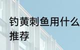 钓黄刺鱼用什么饵最好 钓黄刺鱼饵料推荐