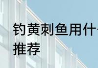 钓黄刺鱼用什么饵最好 钓黄刺鱼饵料推荐