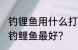 钓锂鱼用什么打窝最好 用什么打窝料钓鲤鱼最好？